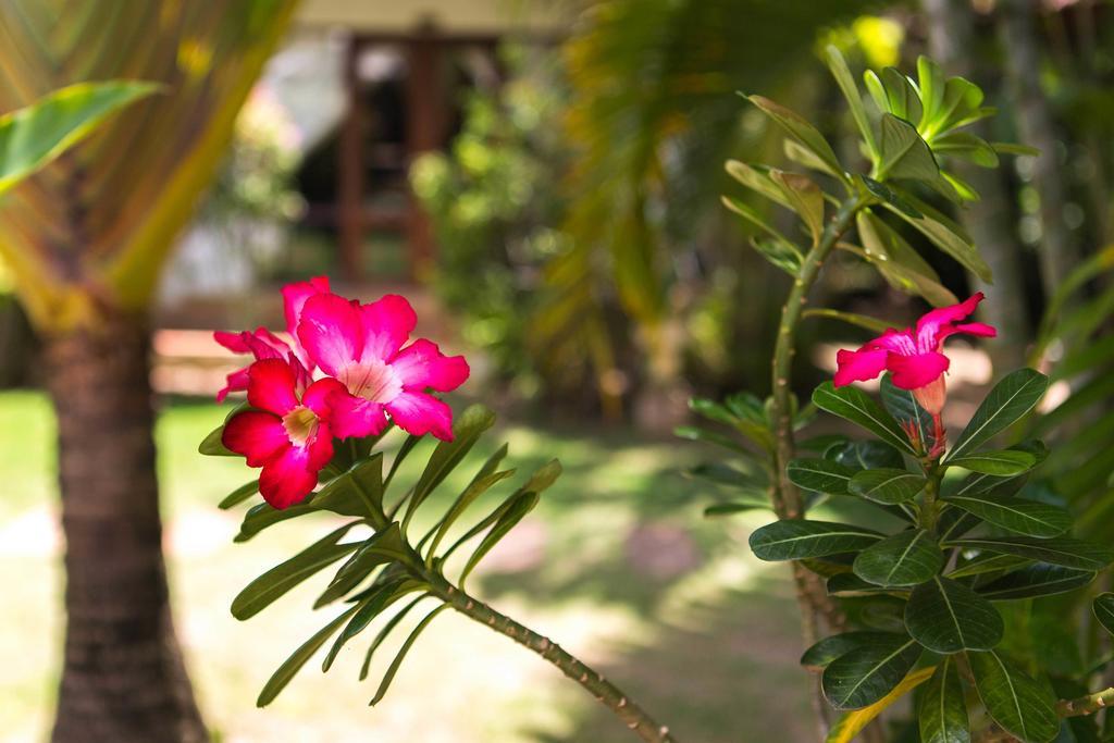 Easy Time Resort Laem Sai Beach Exterior photo